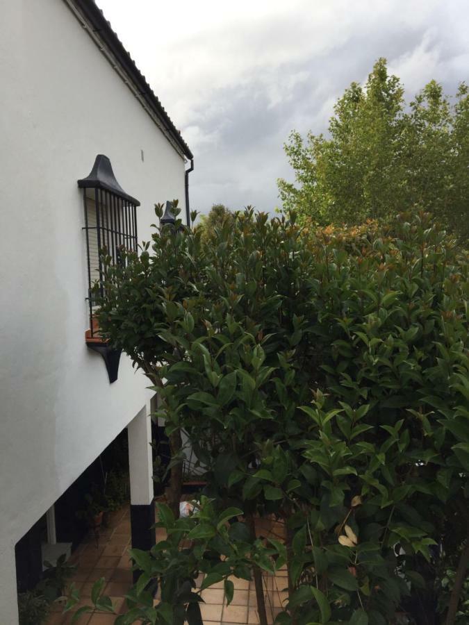Villa Casa Albéitar Ronda Exterior foto